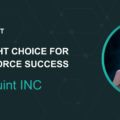 Choose The Right Salesforce Partner With Teraquint INC