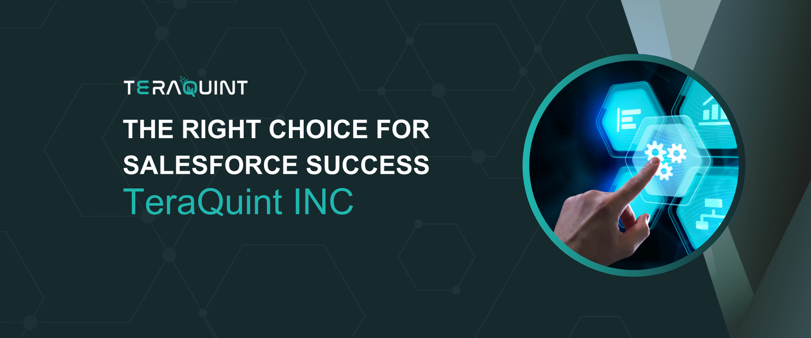 Salesforce Consultants